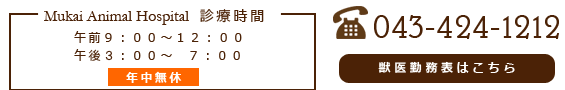 時間表